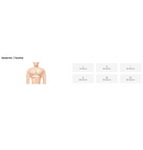 GÖĞÜS KORSESİ STERNUM DESTEKLİ