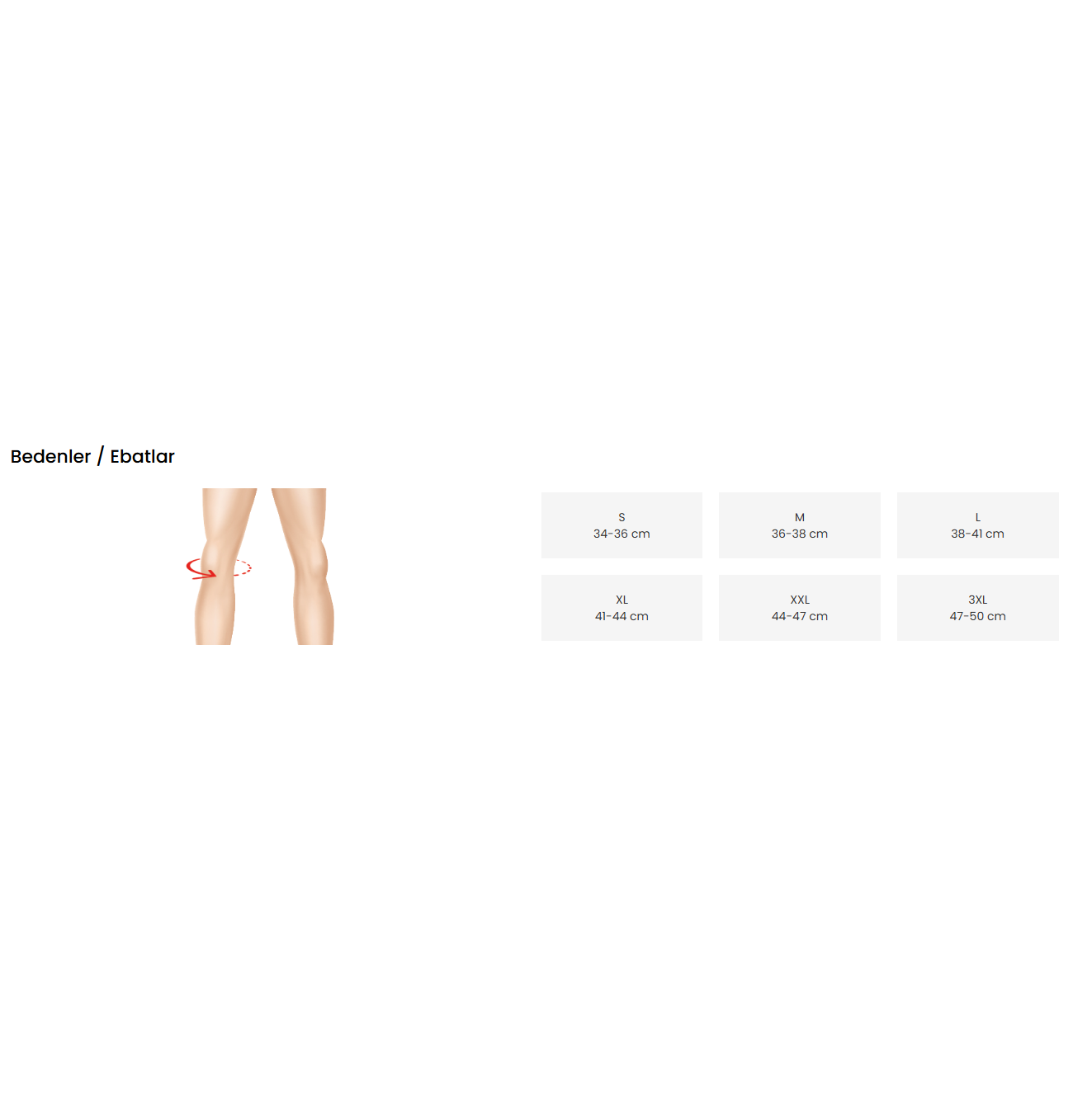 PATELLA TENDON DİZLİĞİ